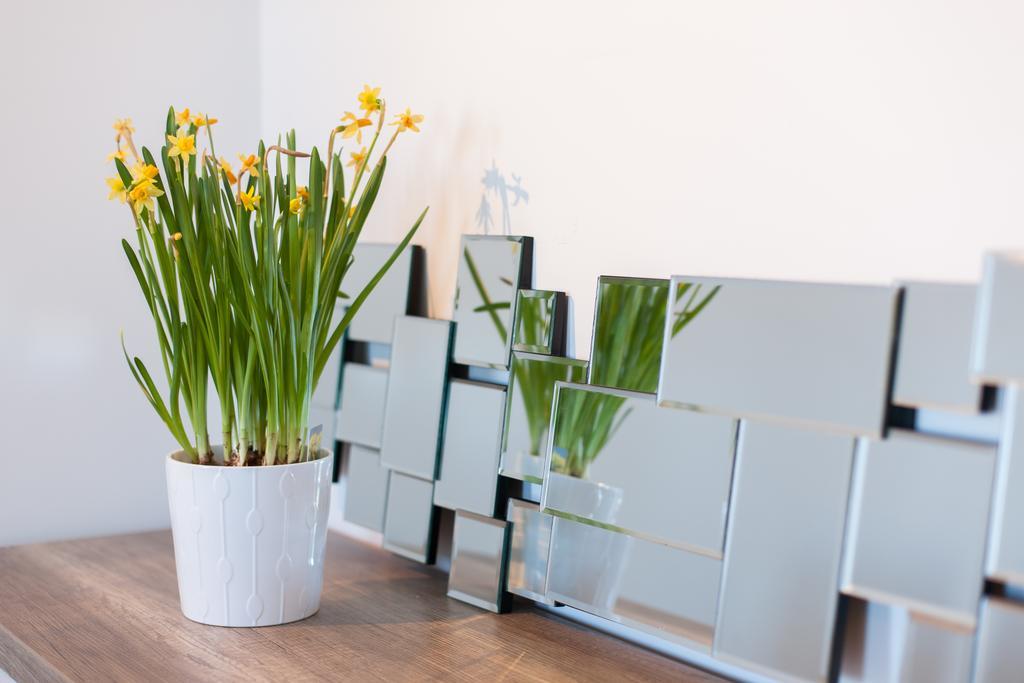 ליסבון D'Castro Luxury Apartments - Alfama מראה חיצוני תמונה